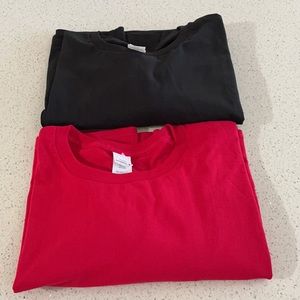 Hanes Men’s Long Sleeves T-shirts  Sz 2XL (Bundle of 2)